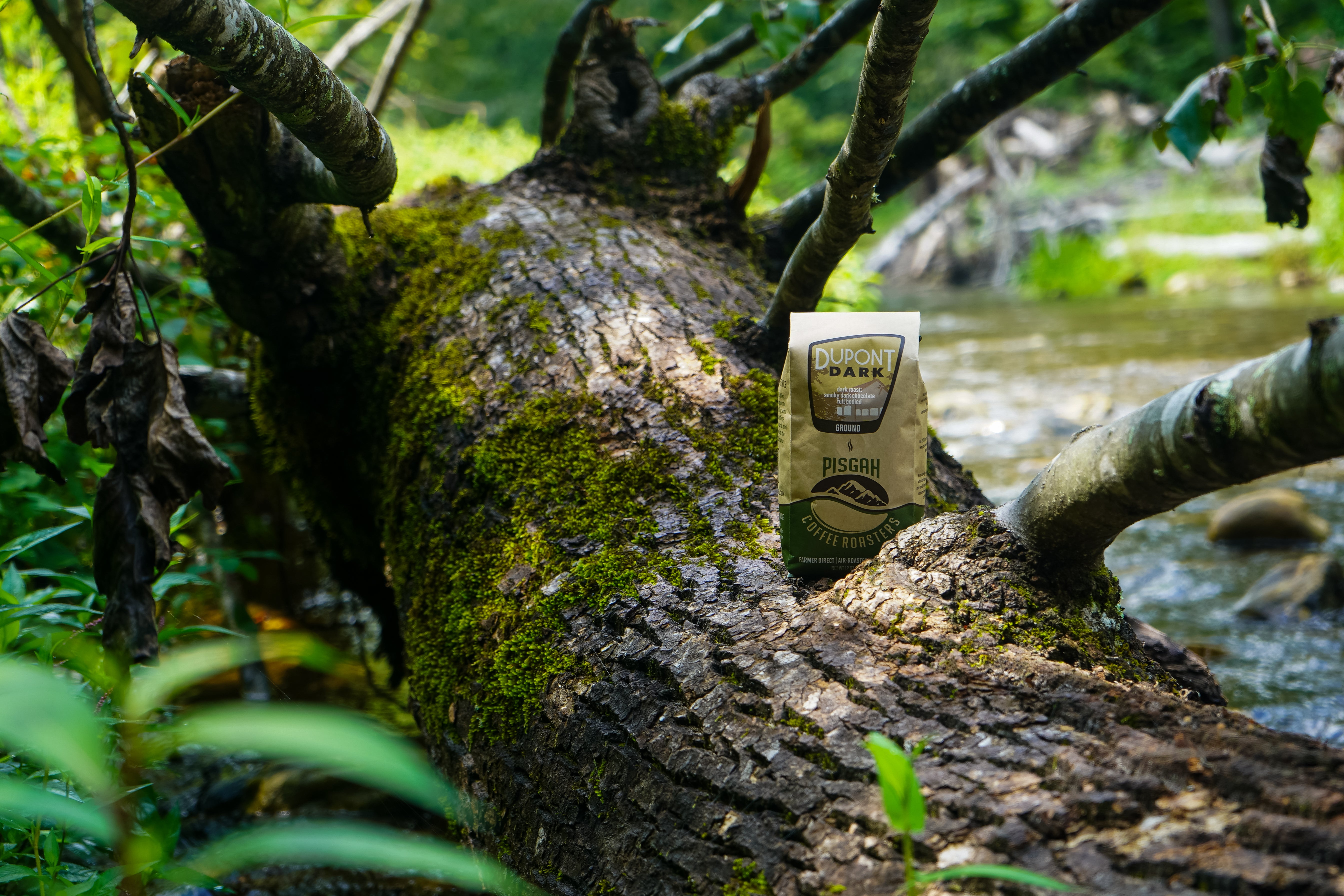Pisgah Coffee Roasters cover