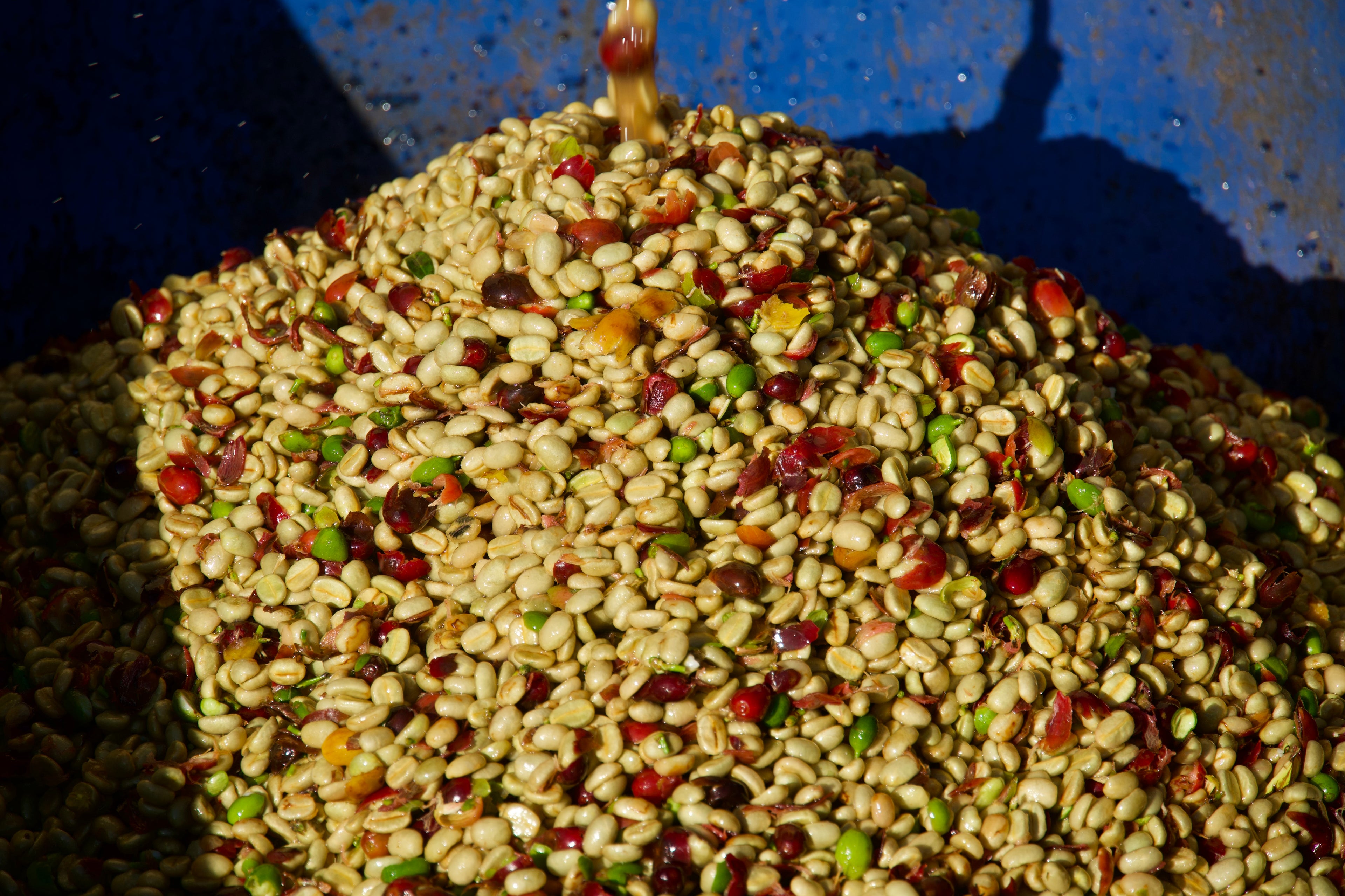 Espigão do Palmital - Catuaí - Fermented (Microlot)